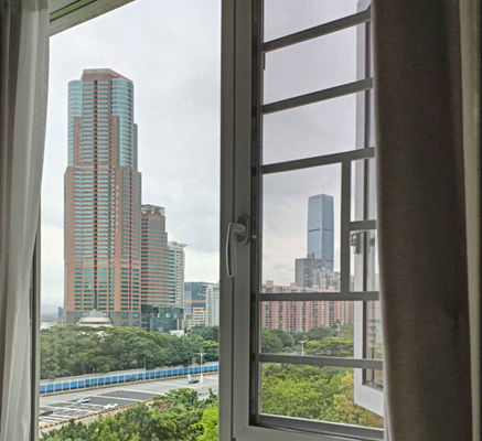 Double Glazed Aluminium Swing Window Customized Swing Glass Window