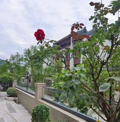 Fleksibel Aluminium U Channel Glass Railing Outdoor Balustrade Kaca Tanpa Bingkai