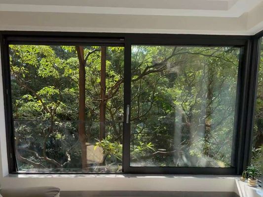 Customized Double Glazing Black Frame Aluminium Sliding Sash Windows dengan desain hardware stainless steel